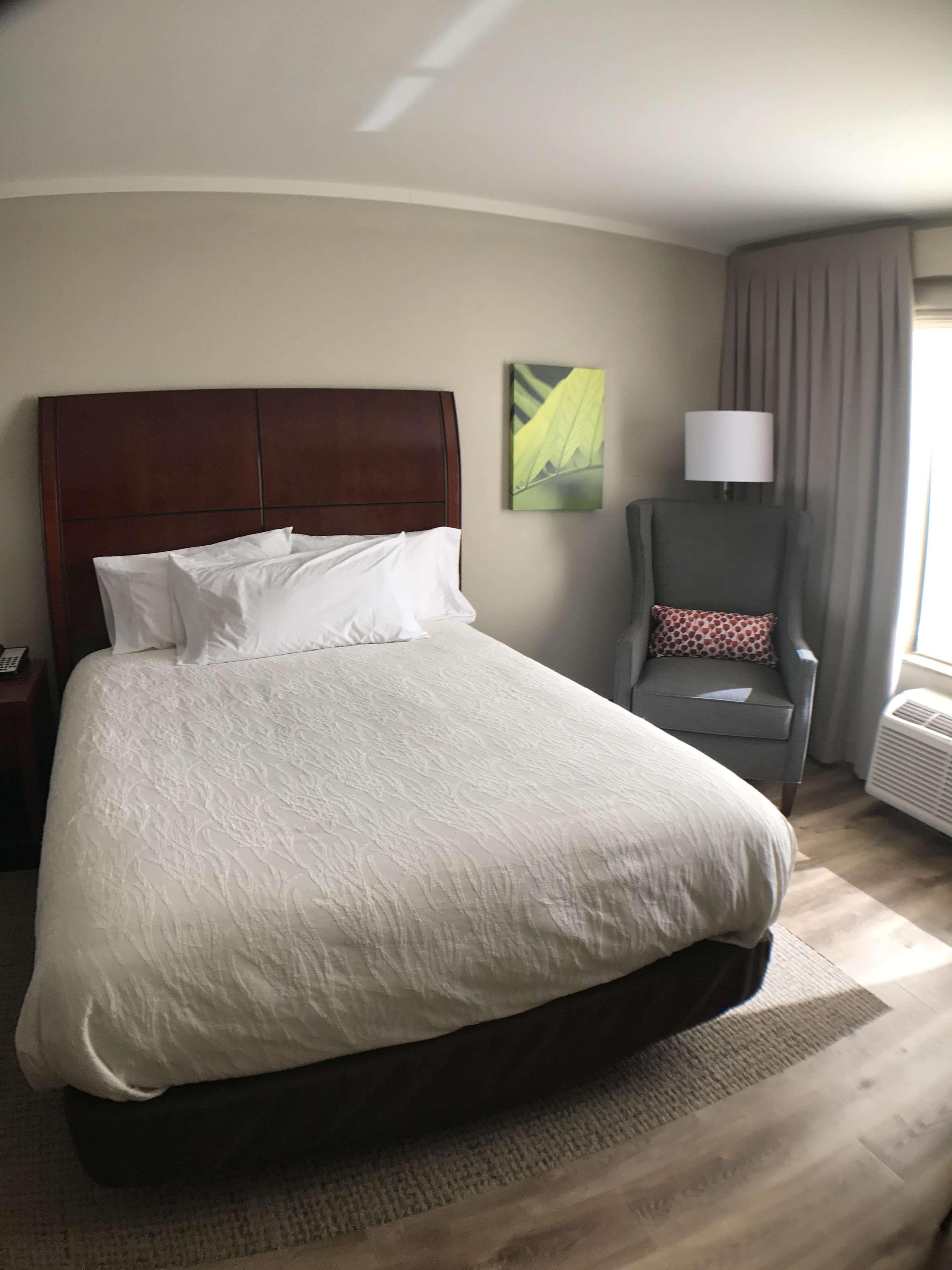 Hilton Garden Inn Bowling Green Extérieur photo